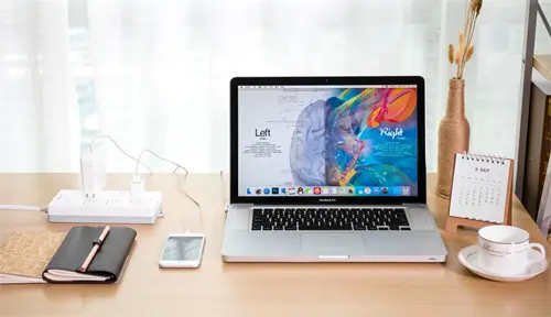 国外除蟑螂公司排名前十